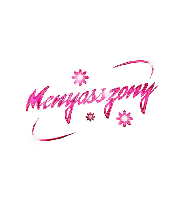 Winx Club menyasszony minta fehér pólón