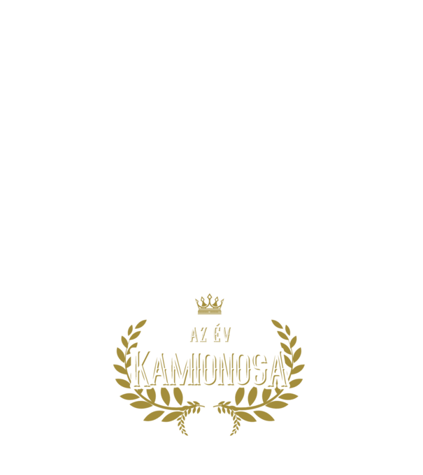 Az év kamionosa minta sötétkék pólón