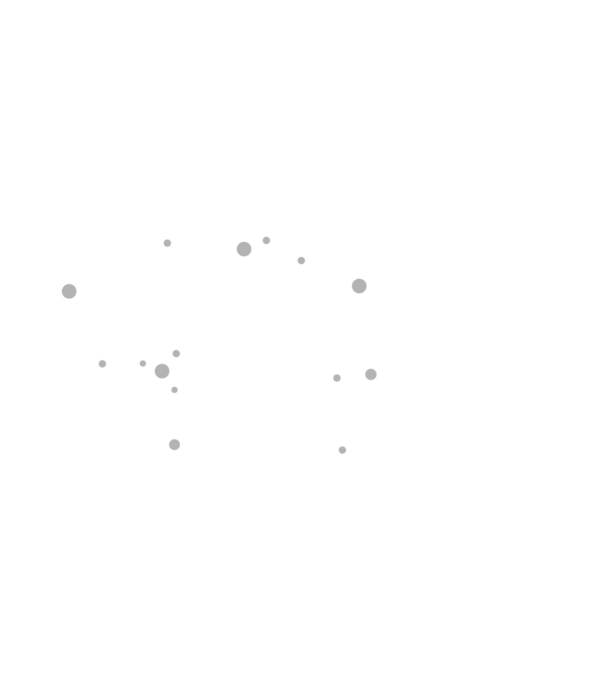Alkesz brigád lánybúcsús bevetés minta fekete pólón