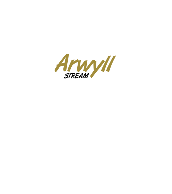 Arwyll Stream minta szürke pólón
