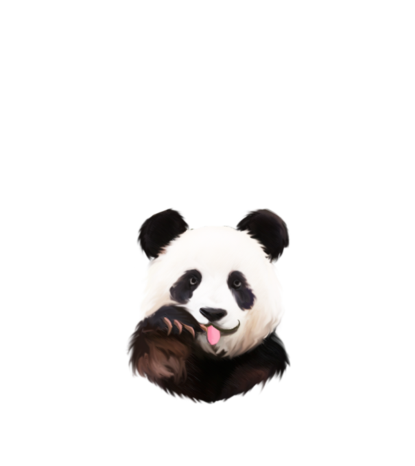 Panda face minta királykék pólón