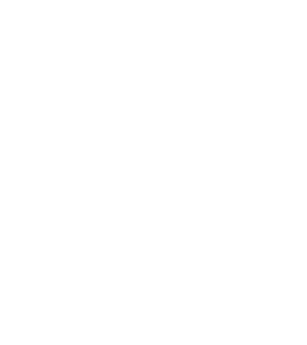 Senki sem tökéletes Vizsla minta fekete pólón