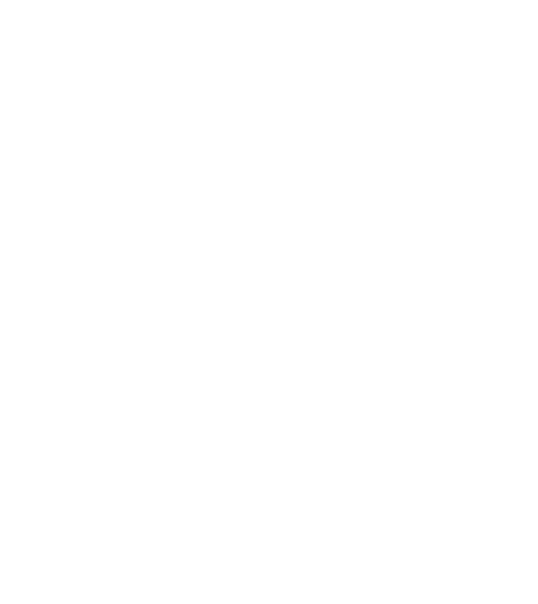 Senki sem tökéletes Német Juhász minta fekete pólón