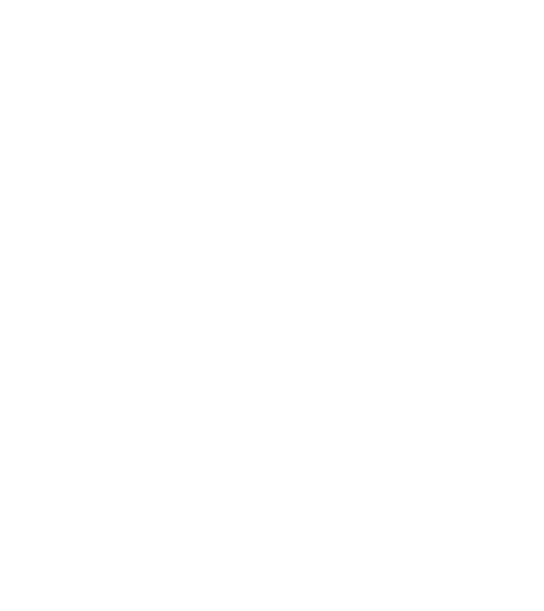 Senki sem tökéletes Border Collie minta fekete pólón