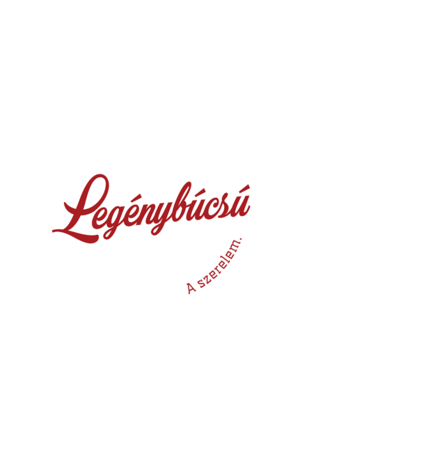 Gentleman Legénybúcsú 07 minta fekete pólón