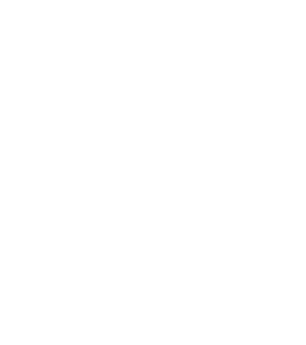 VINTAGE PERFECTION 1965 minta fehér pólón
