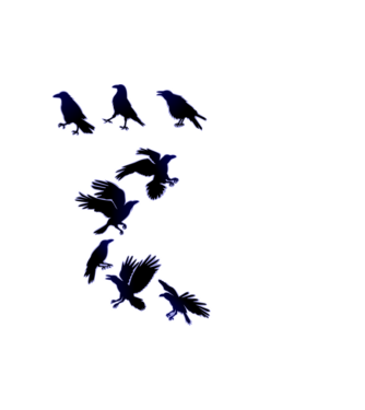 Halloweeni Varjak A minta fehér pólón