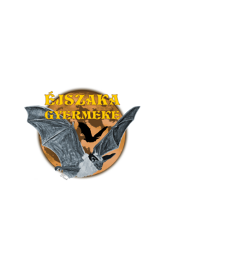 Éjszaka gyermeke minta fekete pólón