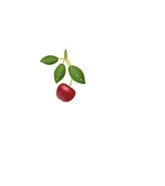 PentaCherry minta fekete pólón