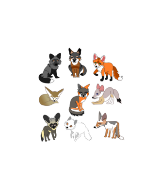 Rókafajták fehér felirattal minta fehér pólón