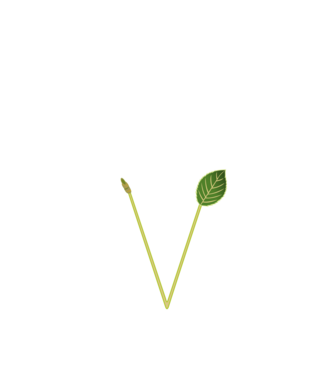 PentaGreen minta fekete pólón