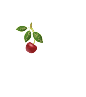 PentaCherry minta fekete pólón