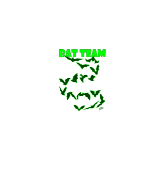 Bat Team minta fekete pólón