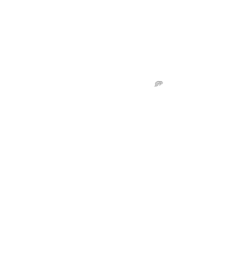 Drum Evolution minta neonzöld pólón