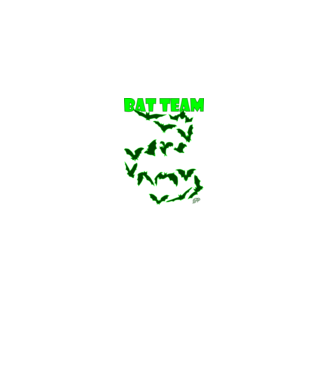 Bat Team minta fekete pólón