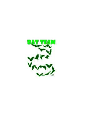 Bat Team minta sötétkék pólón