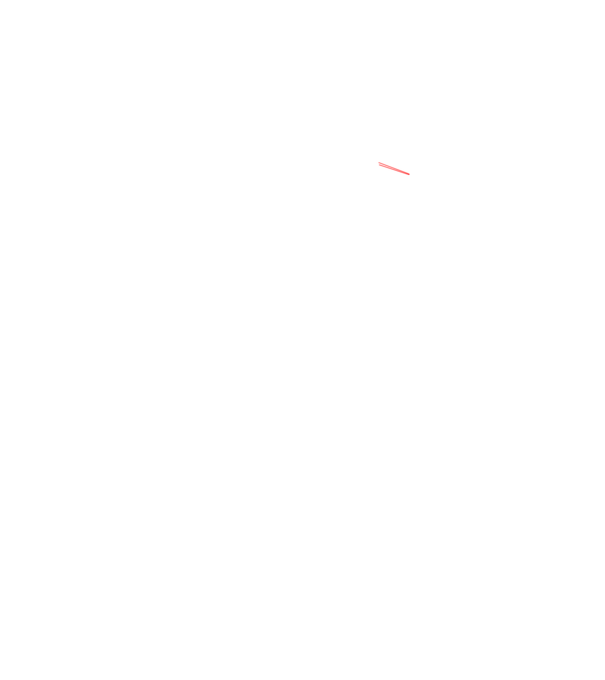 Evolution Master fehér minta fekete pólón
