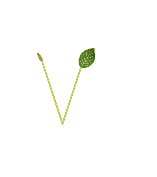 PentaGreen minta fekete pólón
