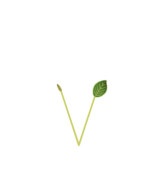 PentaGreen minta fekete pólón