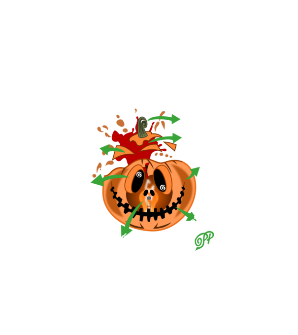 Tökfej Anatómia minta fehér pólón