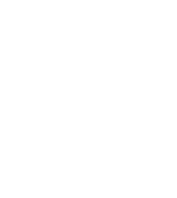 Plank Evolution minta fehér pólón