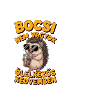 Bocsi nem vagyok ölelkezős kedvemben minta világoskék pólón