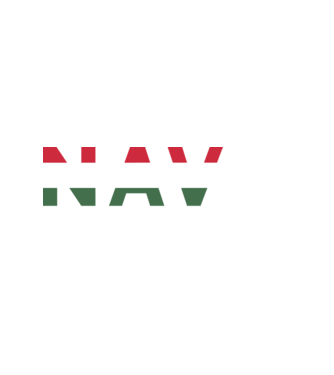 NAV - NEM AGYALUNK VEDELÜNK minta sötétkék pólón