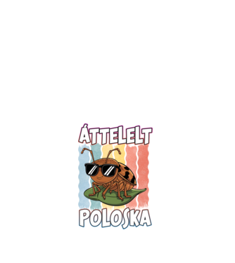 Áttelelt poloska vagyok Pride minta fehér pólón