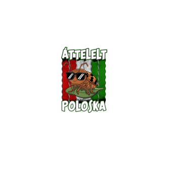 Áttelelt poloska vagyok Magyar minta fekete pólón