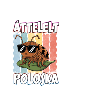 Áttelelt poloska vagyok Pride minta fekete pólón