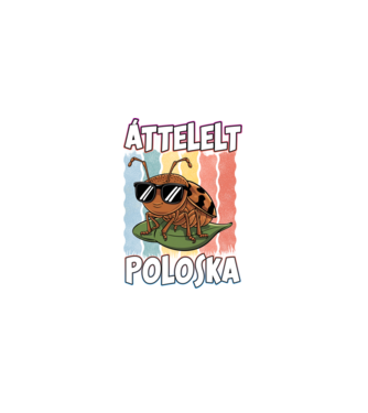 Áttelelt poloska vagyok Pride minta fekete pólón