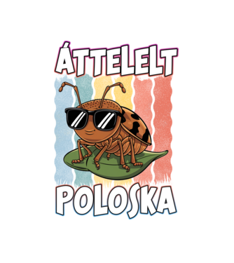 Áttelelt poloska vagyok Pride minta fehér pólón