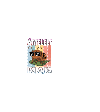 Áttelelt poloska vagyok Pride minta fekete pólón