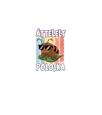 Áttelelt poloska vagyok Pride minta fekete pólón