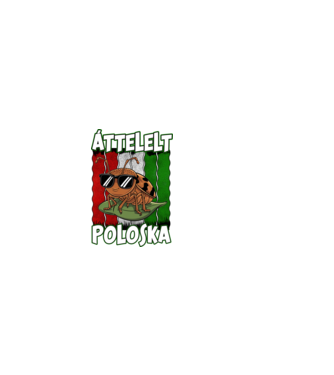 Áttelelt poloska vagyok Magyar minta sötétkék pólón