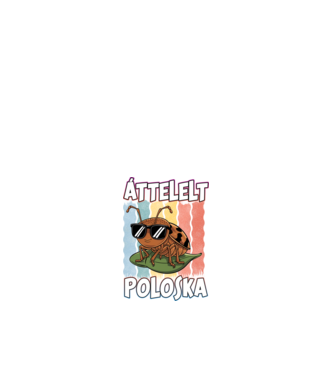 Áttelelt poloska vagyok Pride minta fehér pólón