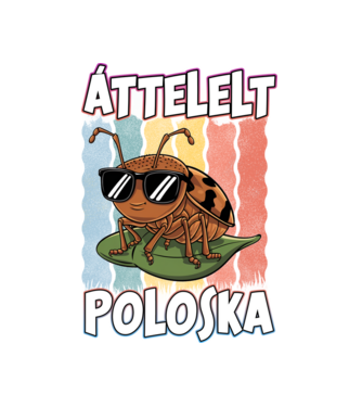 Áttelelt poloska vagyok Pride minta fekete pólón