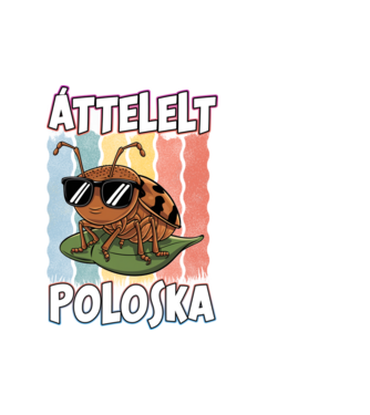 Áttelelt poloska vagyok Pride minta fehér pólón