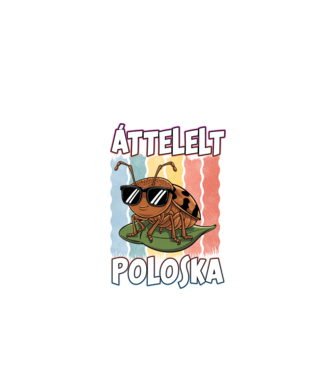 Áttelelt poloska vagyok Pride minta fekete pólón