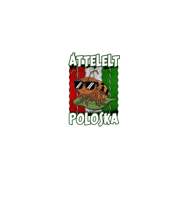 Áttelelt poloska vagyok Magyar minta fekete pólón