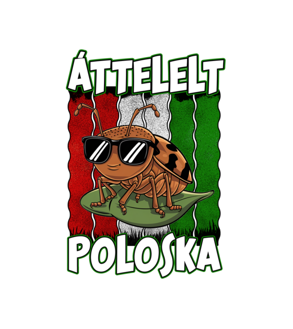 Áttelelt poloska vagyok Magyar minta fekete pólón