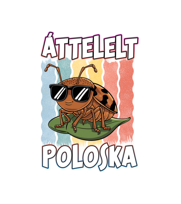 Áttelelt poloska vagyok Pride minta fekete pólón