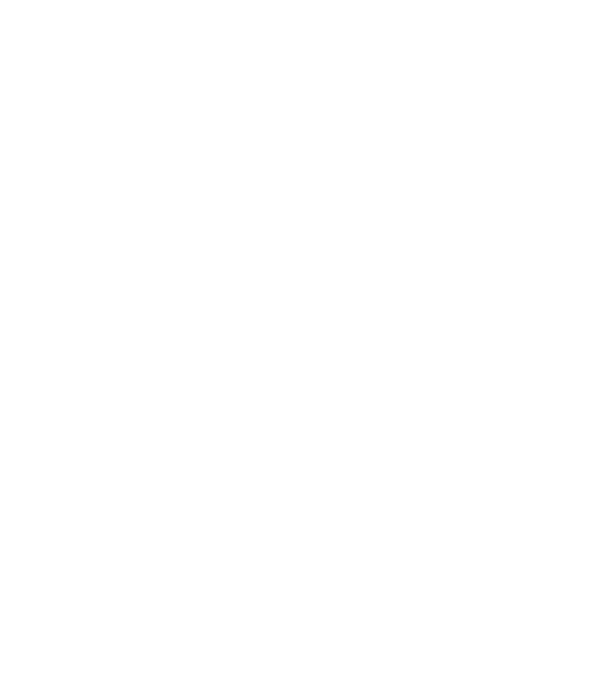 TDS Jolly Roger - TDS minta fekete pólón