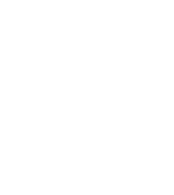 TDS Jolly Roger - TDS minta fekete pólón