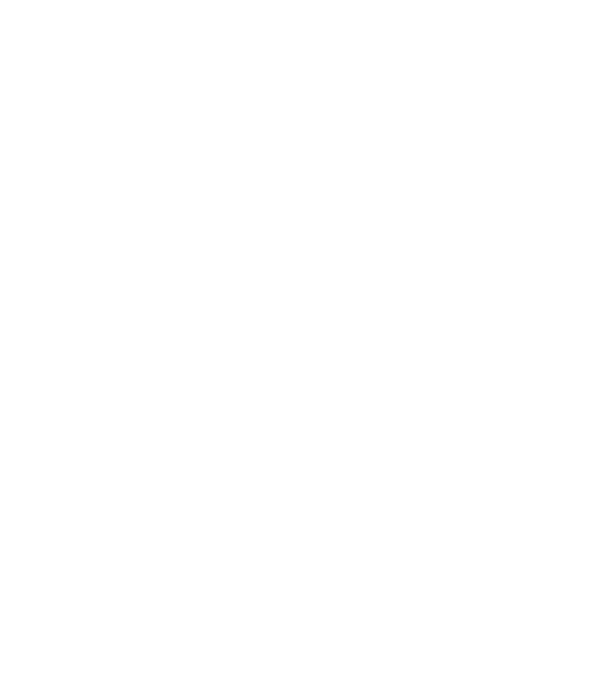 TDS Jolly Roger - TDS minta fekete pólón