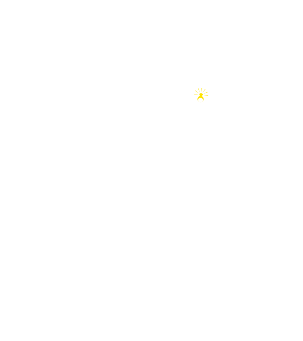 Bridal Crew x2 - LBP minta neonsárga pólón