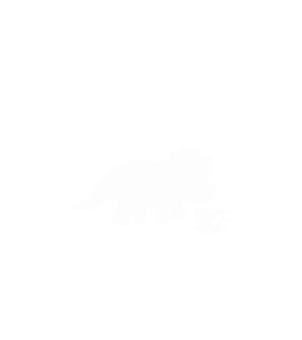 Reggel minta fehér pólón