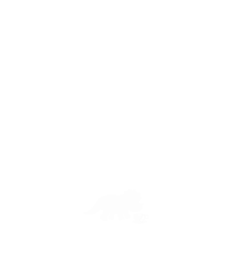 Reggel minta fehér pólón