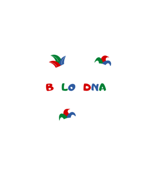 Bolondnak születtem minta fekete pólón