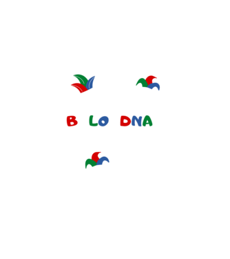 Bolondnak születtem minta fekete pólón
